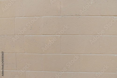 Ugly Painted Block Wall