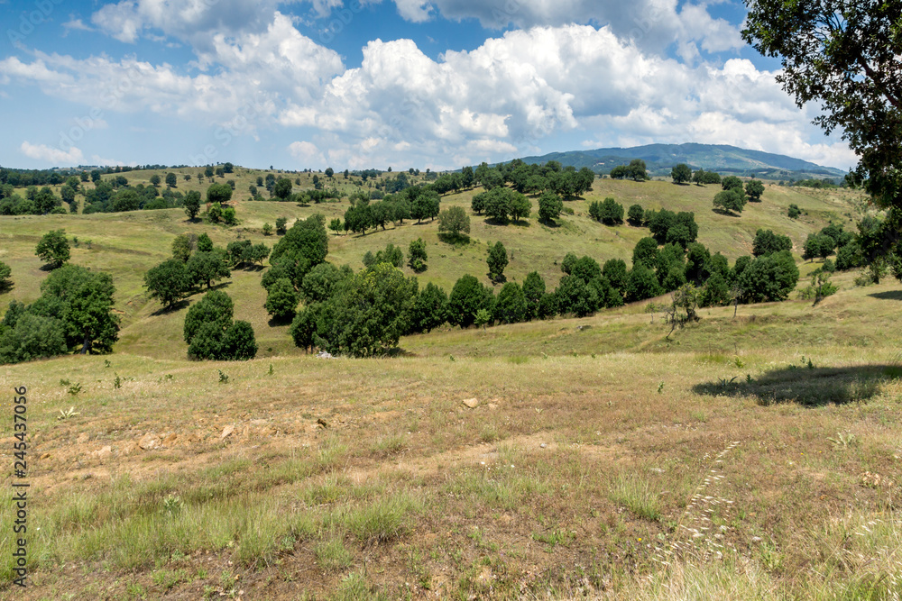 Fototapeta premium Summer Landscape of Ograzhden Mountain, Blagoevgrad Region, Bulgaria