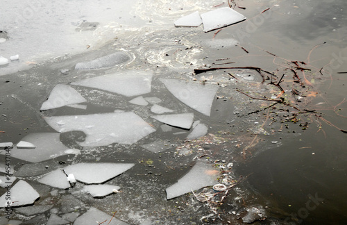 Wallpaper Mural Frozen water in a park Torontodigital.ca