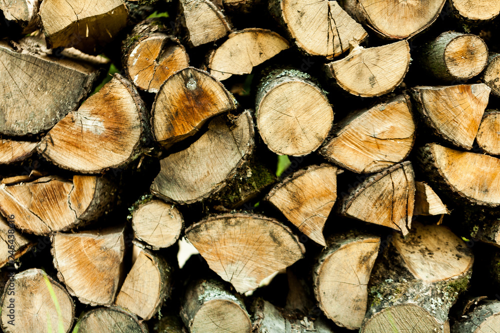 Sawed tree trunks and branches in different sizes, piled up in blue container Wood storage industry. Background of dry chopped firewood logs stacked up on top of each other in a pile. Sawed tree trunks and branches in different sizes, piled up in blue container Wood storage industry. Background of dry chopped firewood logs stacked up on top of each other in a pile.