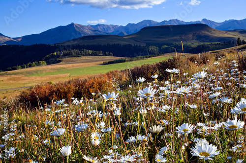 Colorful Colorado Scenic Landscape Beauty