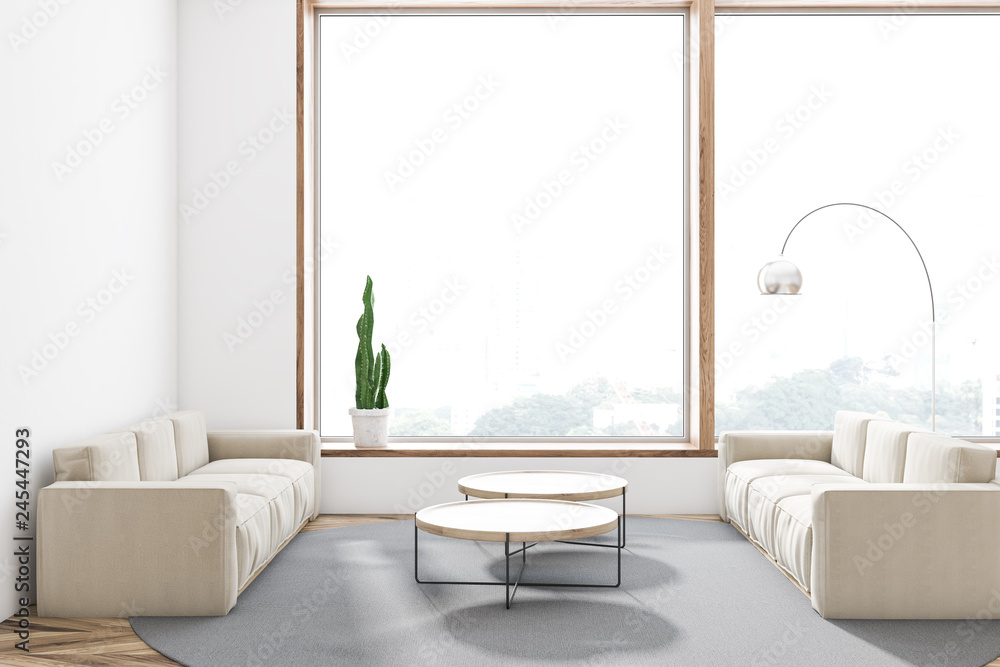 Fototapeta premium White living room with two sofas