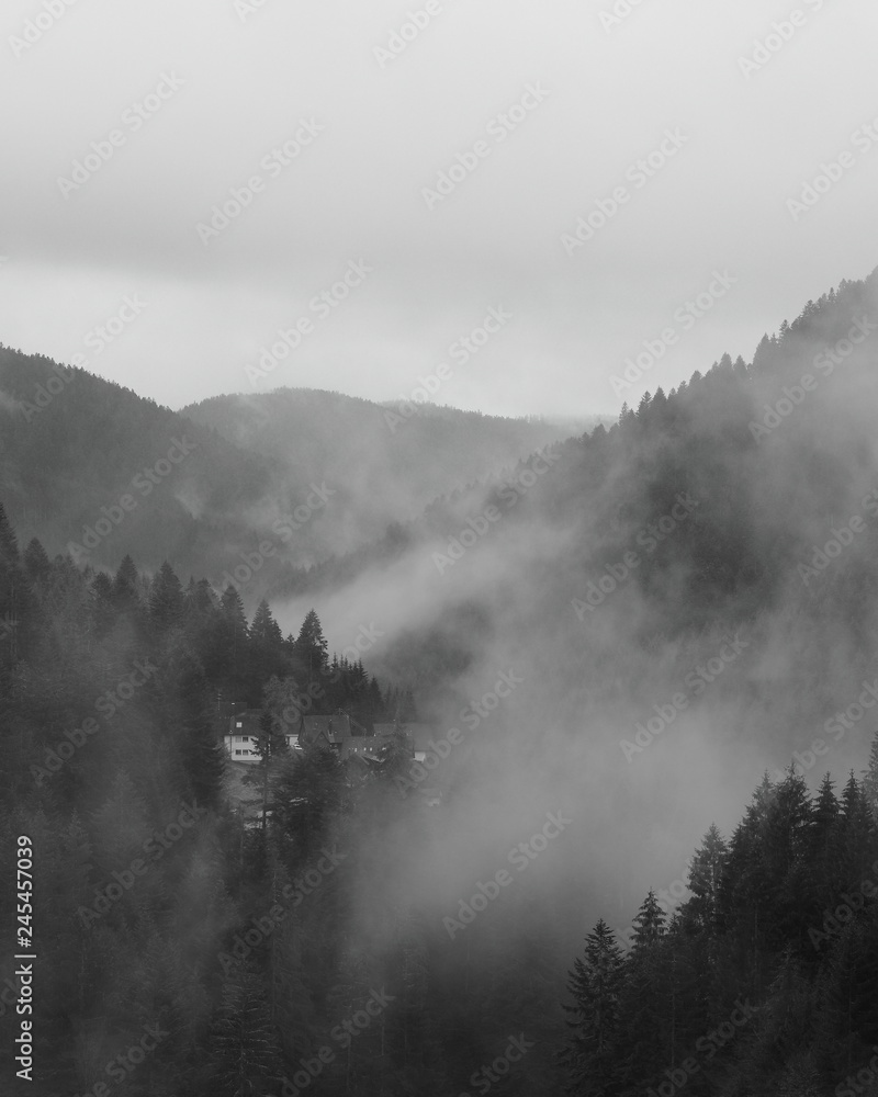 Misty morning in Black Forest. Misty mountains. Misty forest.