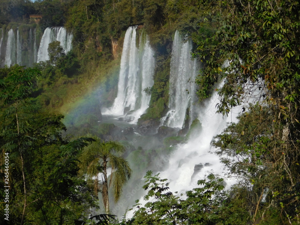 Obraz premium waterfall in forest