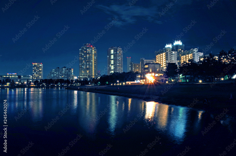 Fototapeta premium 【東京の夜景】夜のお台場