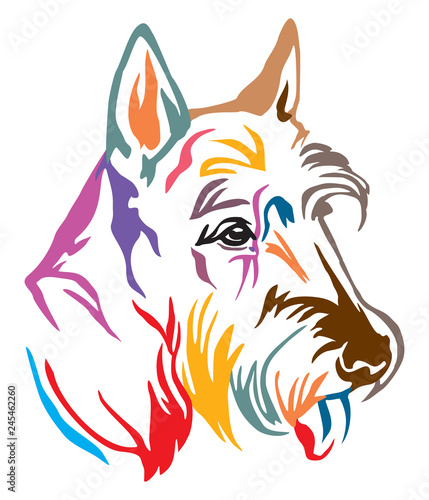 Vászonkép Colorful decorative portrait of Dog Scottish Terrier vector illustration