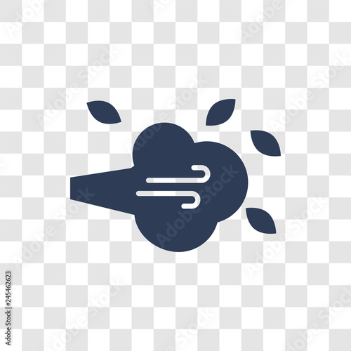 Gust icon vector