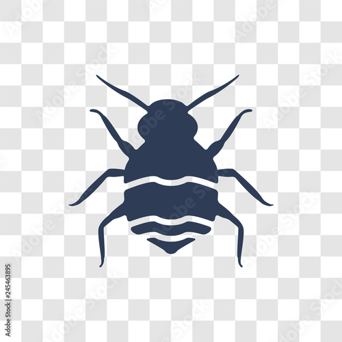 Bedbug icon vector