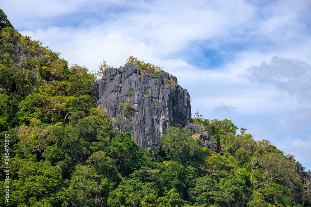 Tropical island landscape with cliff and forest. Green mountain view on sky background. Sharp rock.