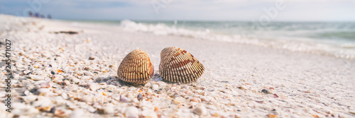 Seashells shelling activity on shell beach in Sanibel  Fort Myers   South Florida banner panorama background  USA travel.