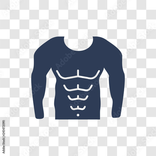 Abs icon vector