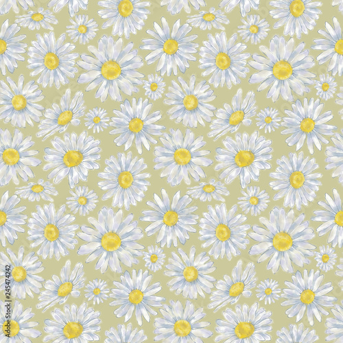 Fototapeta Naklejka Na Ścianę i Meble -  Daisy Seamless Pattern. floral Continuous Design for Background, Wallpaper, Wrapping Paper, and Textile.