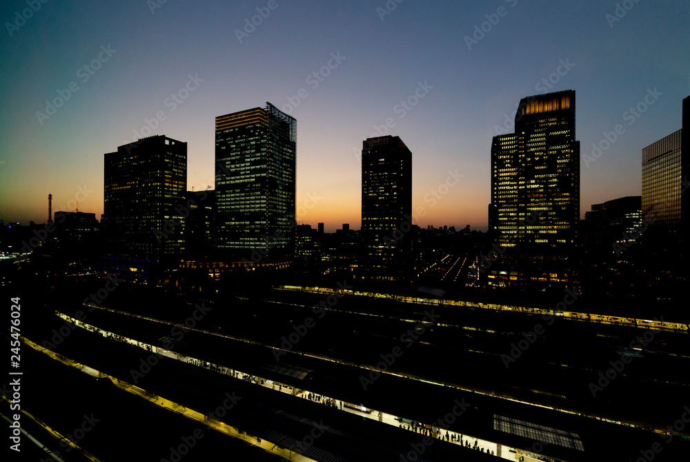 Fototapeta premium Platforma stacji Tokyo