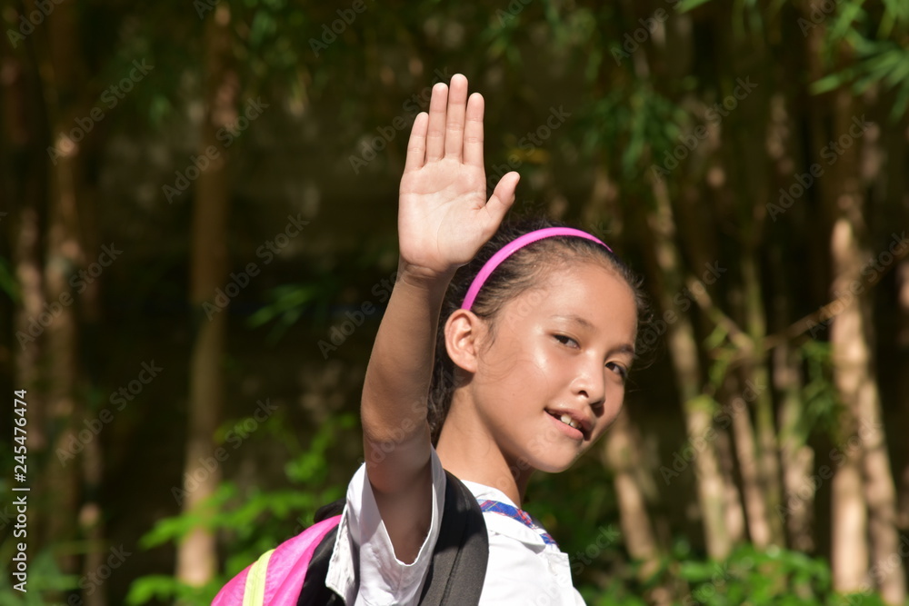 A Friendly School Girl