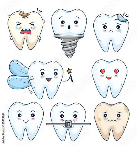 set teeth treatment and hygiene with prosthesis