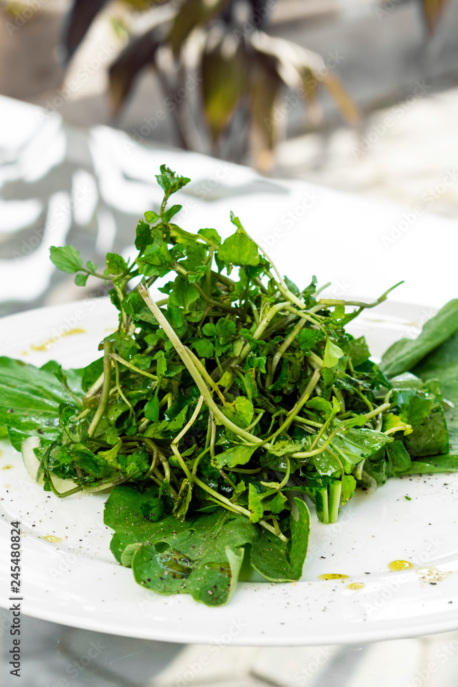 simple watercress and spinach green leaf salad on plate simple watercress and spinach green leaf salad on plate