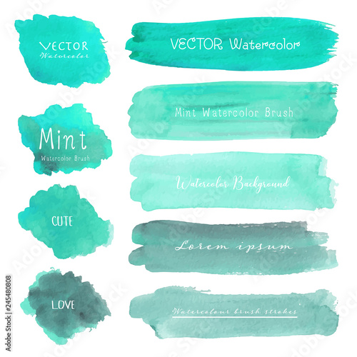 Set of mint watercolor on white background, Brush stroke watercolor, Vector illustration.