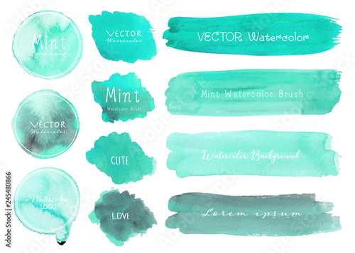 Set of mint watercolor on white background, Brush stroke watercolor, Vector illustration.