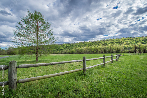 peaceful fence