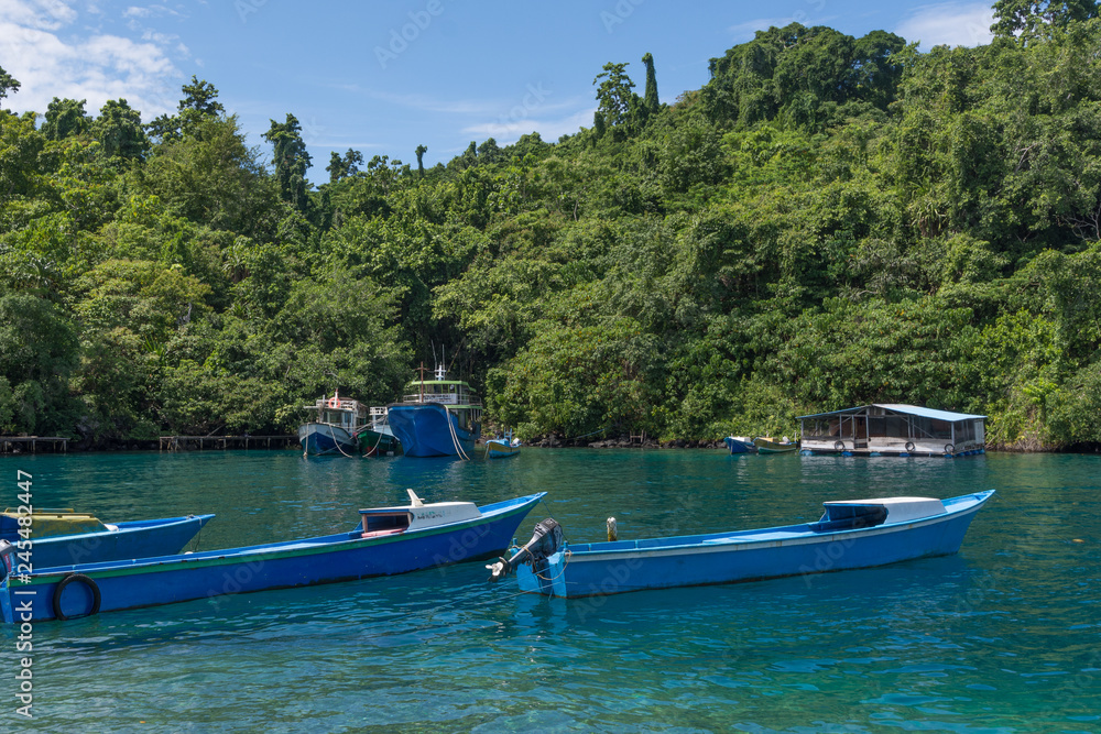 Fototapeta premium boat on the lake