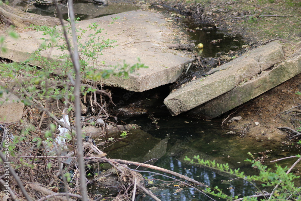 Obraz premium Urban Nature