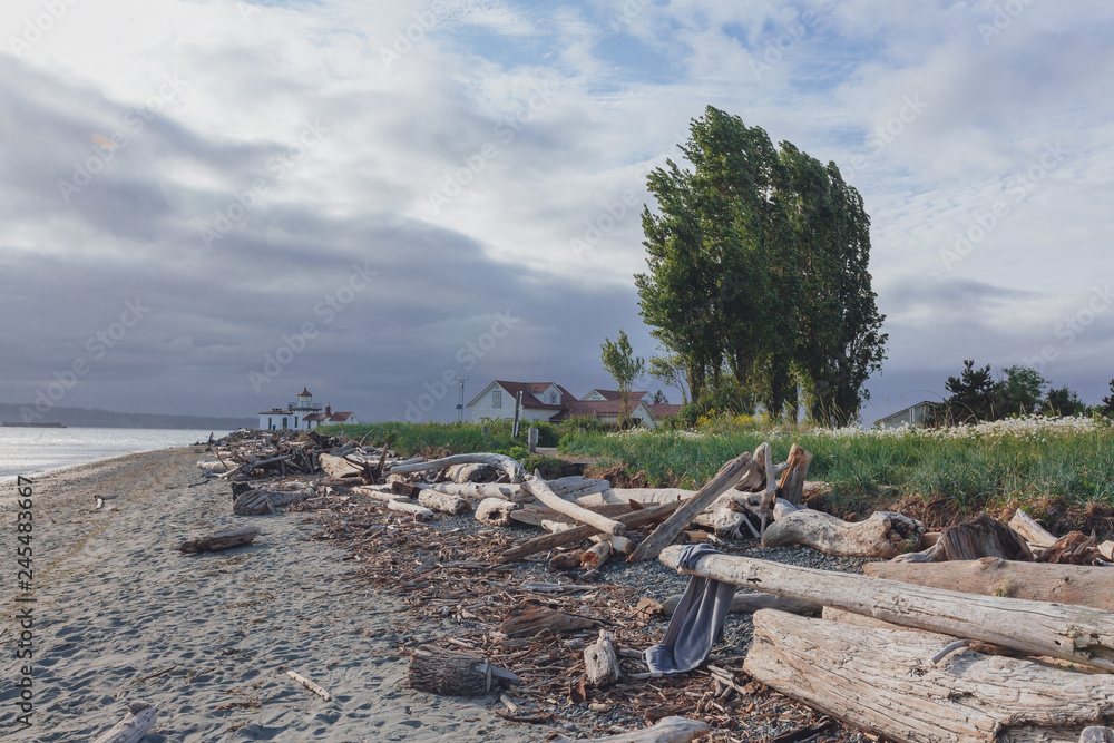 Driftwood on beach and Victorian-era lighthouse in Discovery Park of Seattle, USA Driftwood on beach and Victorian-era lighthouse in Discovery Park of Seattle, USA