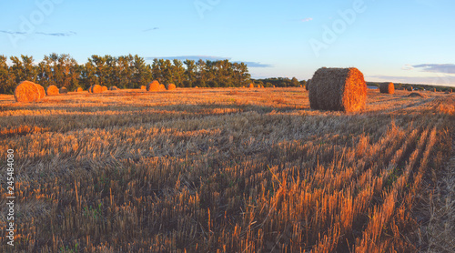 Panorama of golden hay bales on the field after harvesting illuminated by the last rays of setting sun.