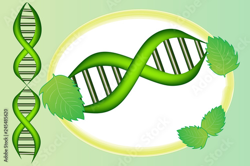 DNA cell with green leafs frame icon vector design