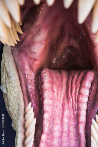 恐竜の口