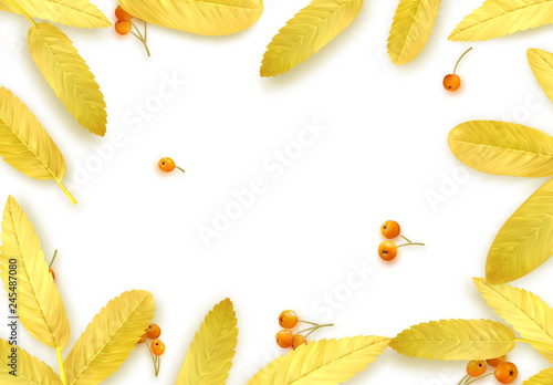 Fall Foliage. Autumn background with golden leaves and realistic rowan berries.