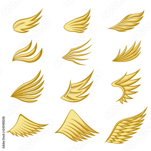 Set of gold wings on white background