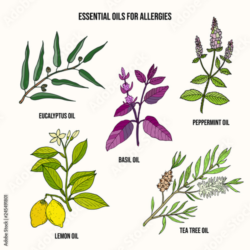 Essential oils fot allergy treatment