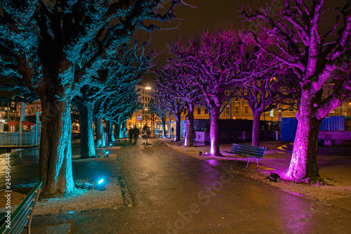 Beleuchtete B  ume a der Seepromenade  Luzern  Schweiz