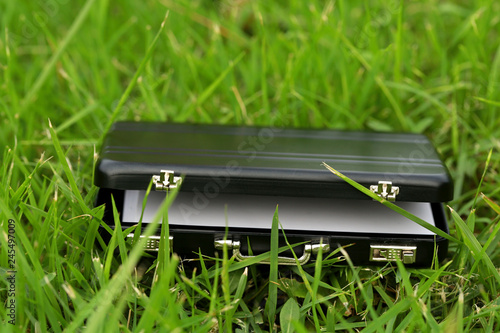 suitcase with business cards on green grass