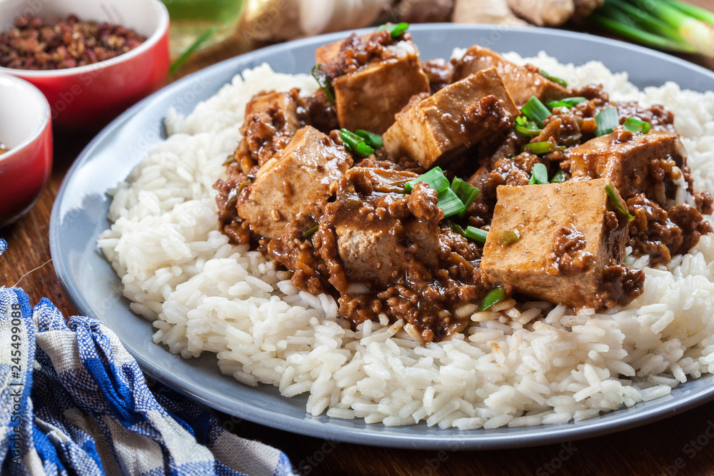 Mapo Tofu - sichuan spicy dish served with rice Mapo Tofu - sichuan spicy dish served with rice