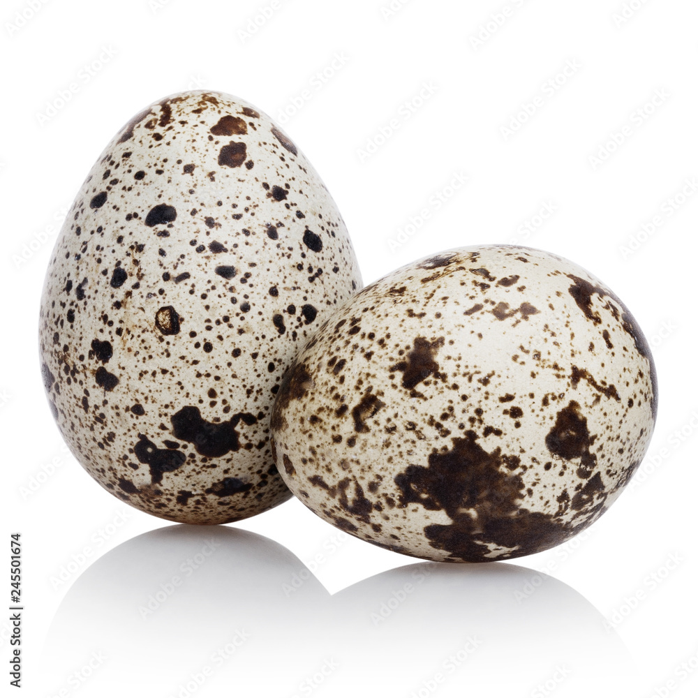 Quail eggs, isolated on white background Quail eggs, isolated on white background