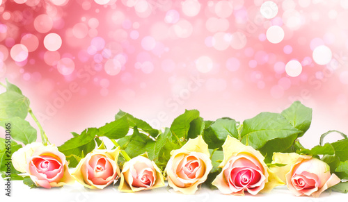 Fototapeta Naklejka Na Ścianę i Meble -  Pink Roses before Bokeh, greeting card Valentine's Day