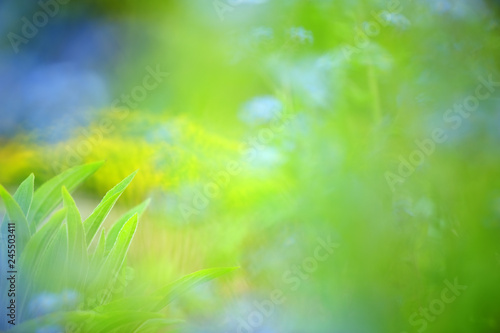 Green spring leaves against defocused background. Selective focus and shallow depth of field.