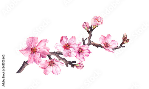 Fotografie, Tablou Flowering cherry tree