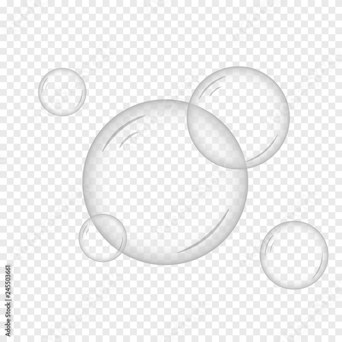 Soap Bubbles on Transparent Background. Vector Illustration.