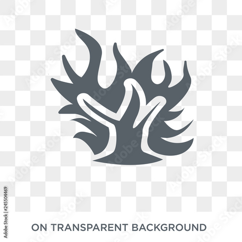 Burning Bush icon. Trendy flat vector Burning Bush icon on transparent background from Religion  collection. High quality filled Burning Bush symbol use for web and mobile