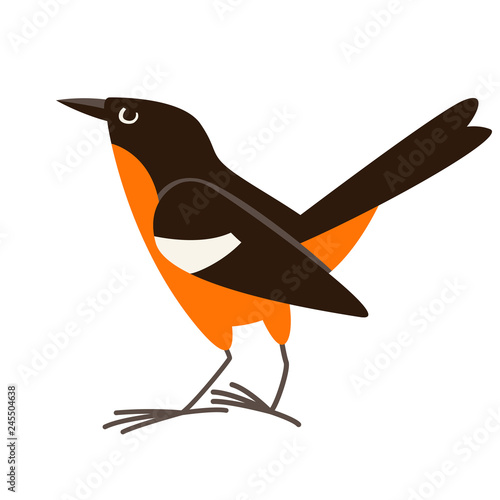 flycatcher bird, vector illustration, flat style,profile 