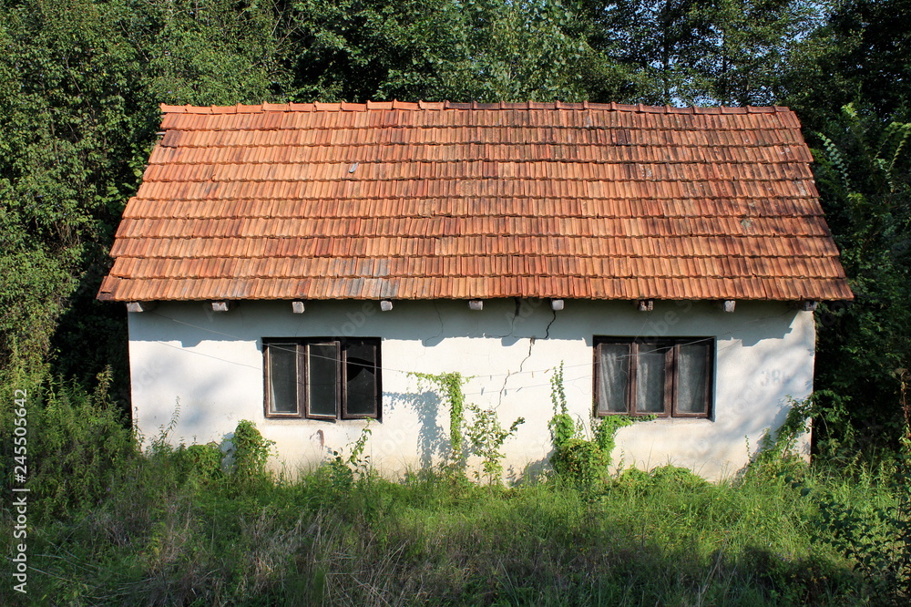 Fototapeta premium Abandoned small family house with cracked facade and broken windows completely surrounded with overgrown grass and other forest vegetation on warm sunny day