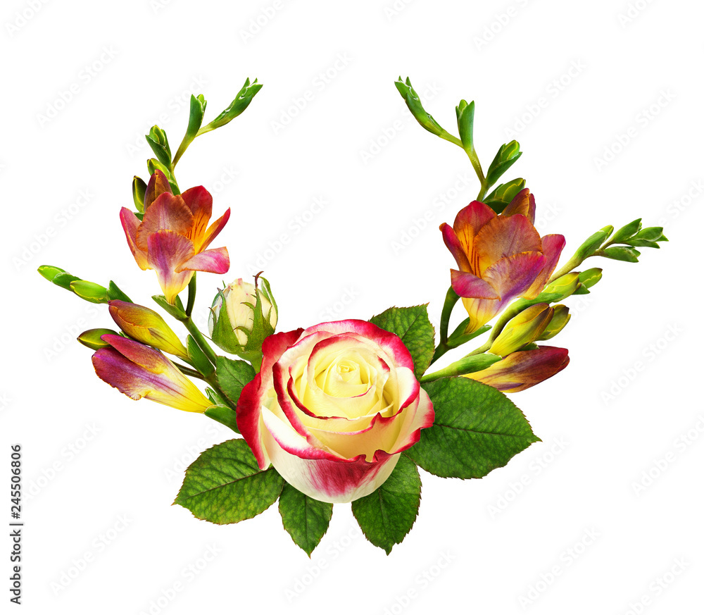 Obraz premium Fresh red and yellow freesia flowers and rose in floral arrangement