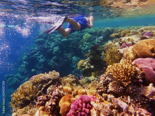 Man snorkeler admiring beautiful colorful coral reef