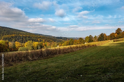 Herbstwiese