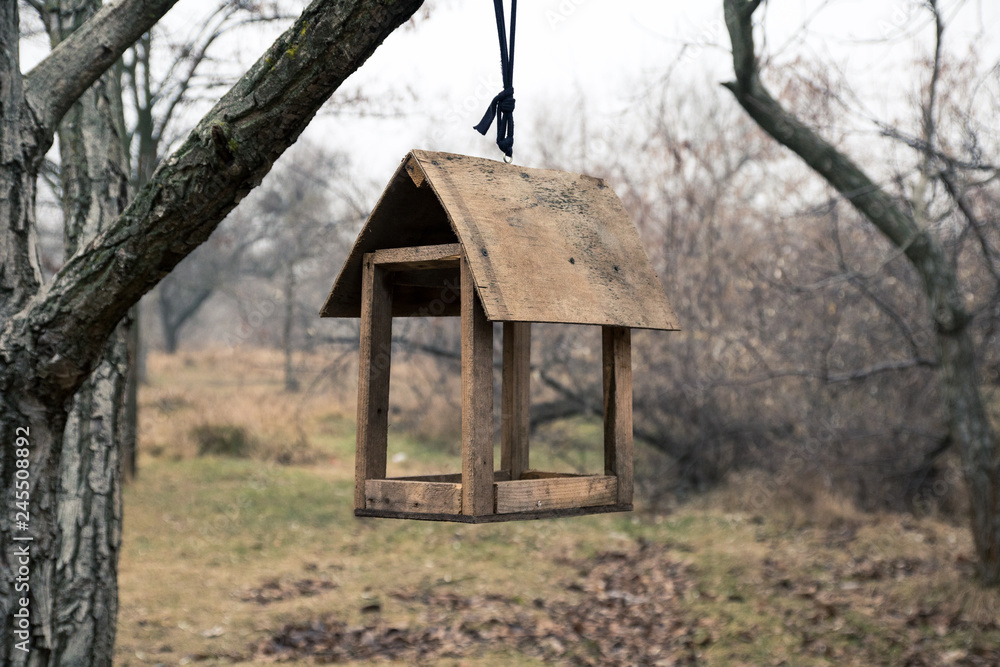 nesting box or feeding trough in winter foggy park nesting box or feeding trough in winter foggy park