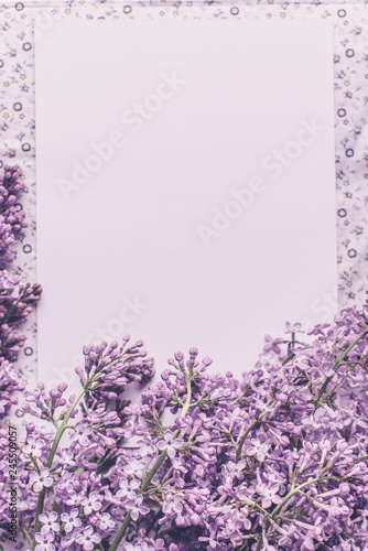 Spring flowers. Lilac flowers petals on white fabric background. Top view, flat lay