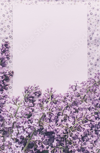 Spring flowers. Lilac flowers petals on white fabric background. Top view  flat lay