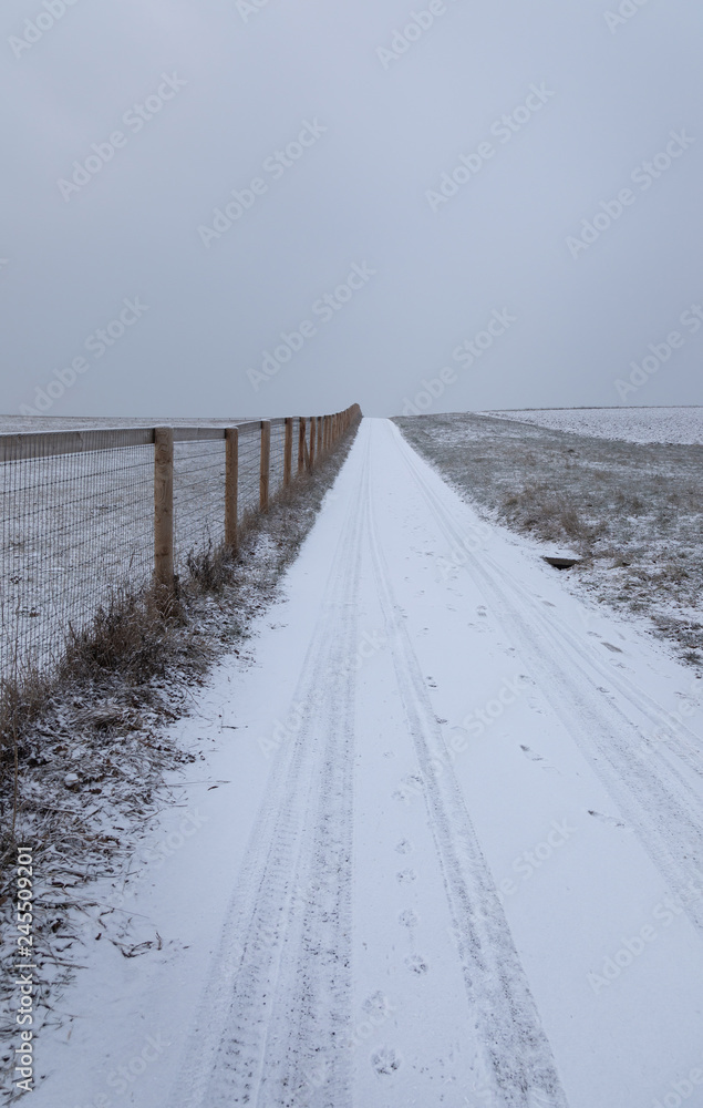 Fence. Rural. Winter. Morning. Snow. Road